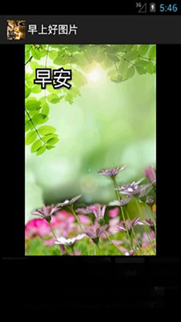 早上好图片app