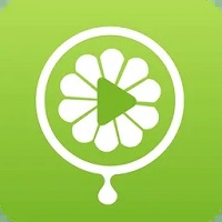 绿茶直播免费直播