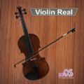 Violin Real