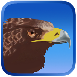 鹰狩猎之旅手机版