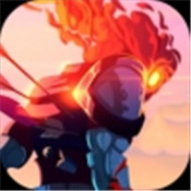 死亡细胞dead cells