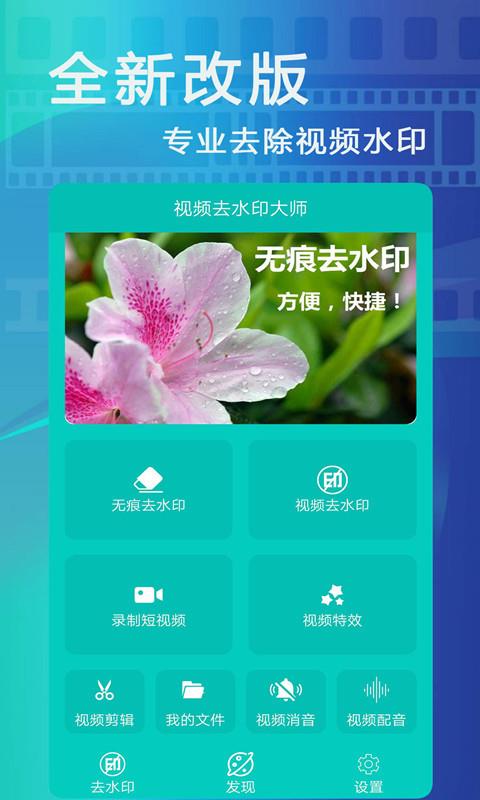 视频大师去水印