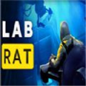 实验室老鼠中文版