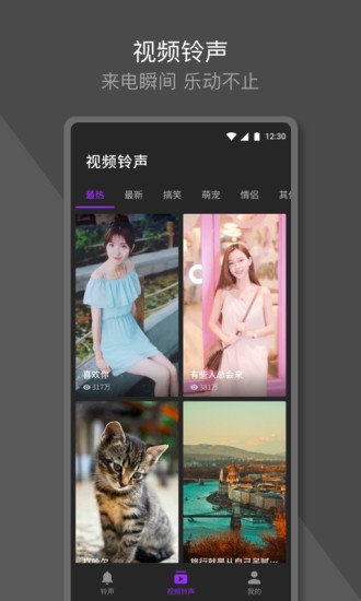 嗲猫