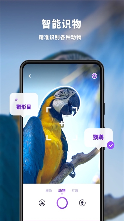 趣扫