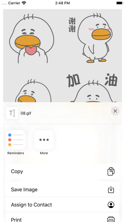 球球鸭