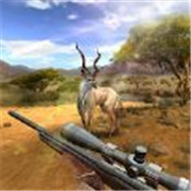 狩猎竞赛中文版